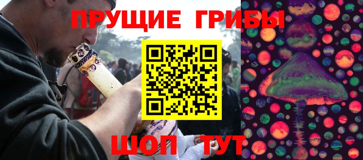хочу   Вход с VPN  Клин  Псилоцибиновые грибы Cubensis 