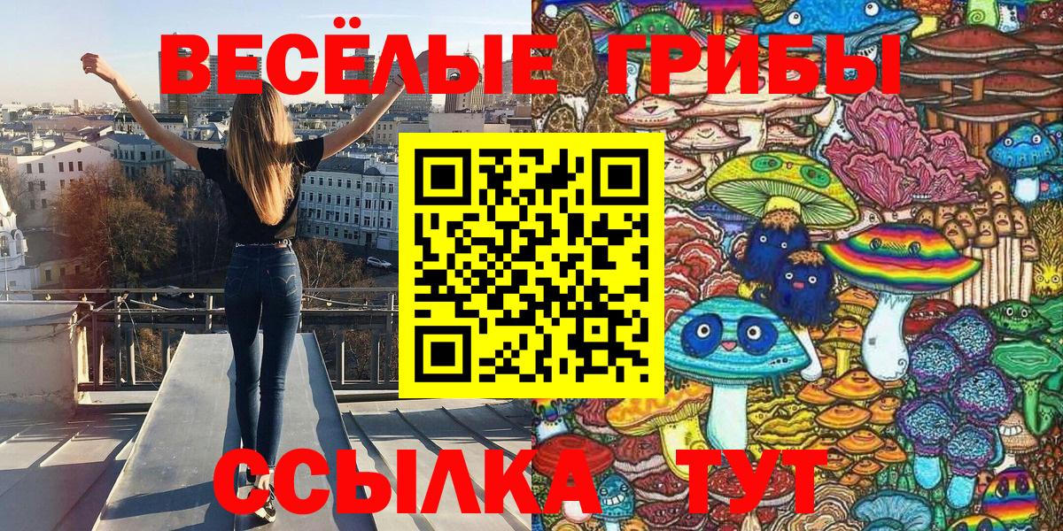 Псилоцибиновые грибы Psilocybine cubensis Клин
